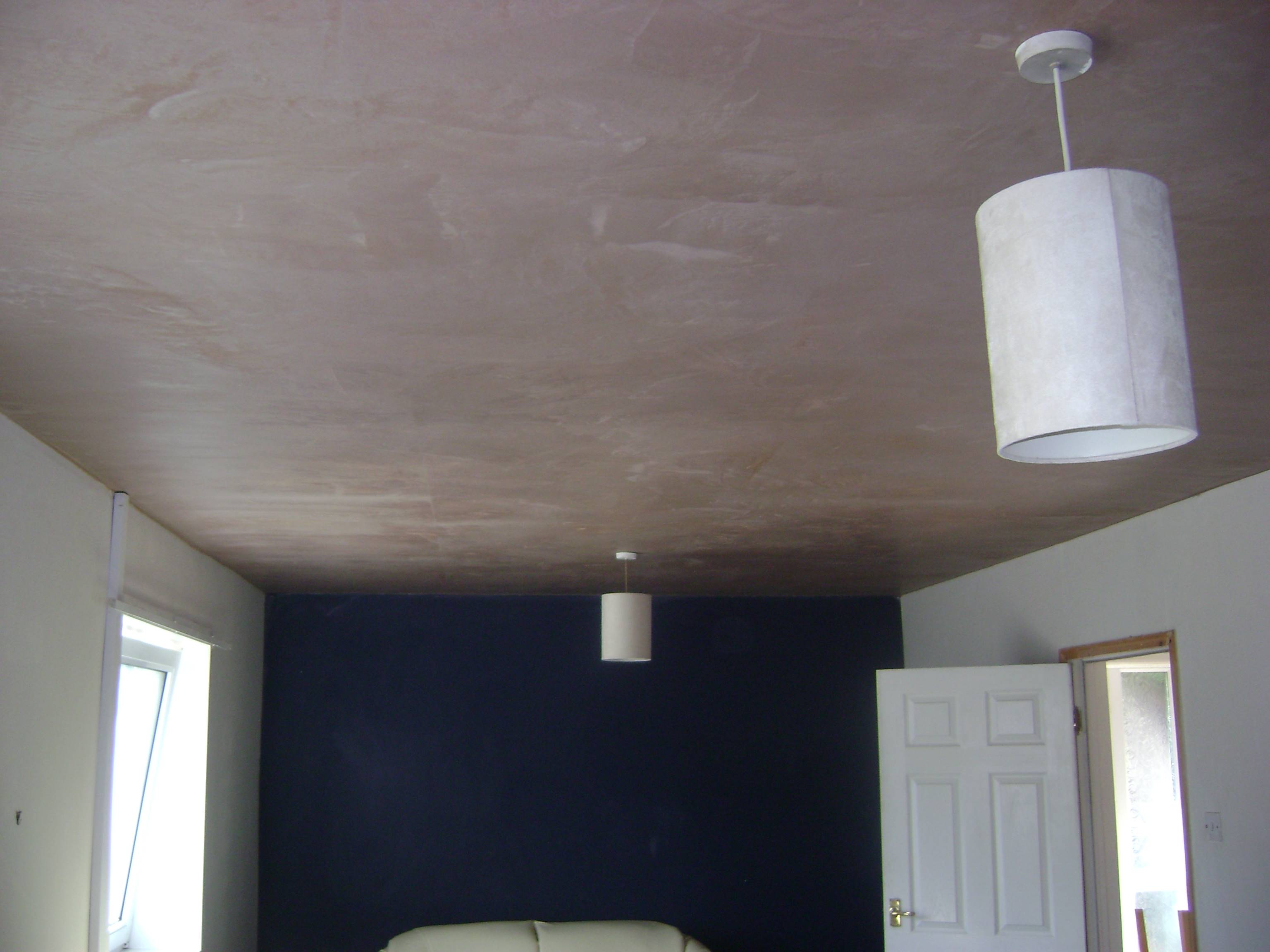 The ceiling was then plastered, and will take a few days to dry before painting