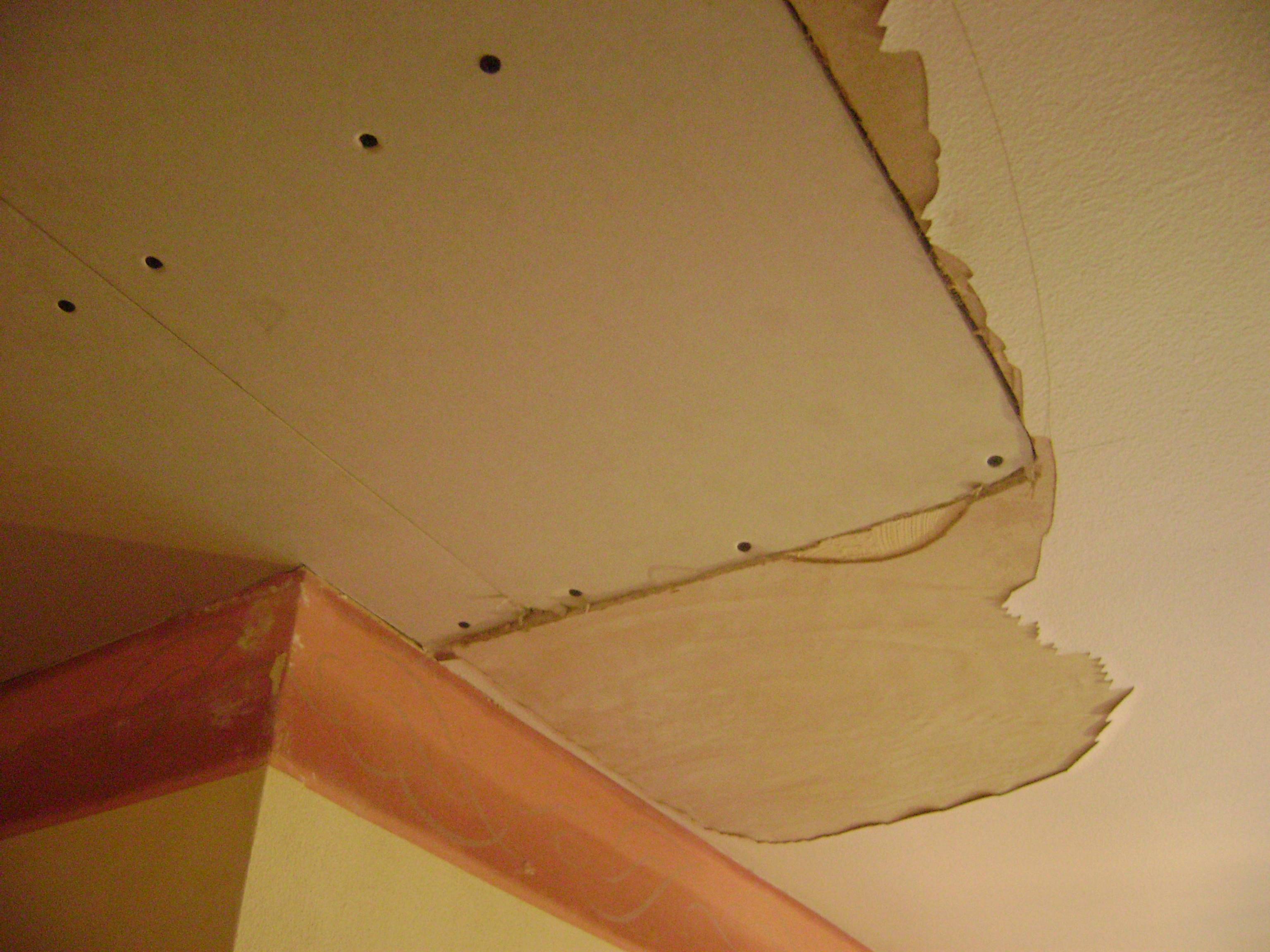 After removing the damaged area, and reboarding.....