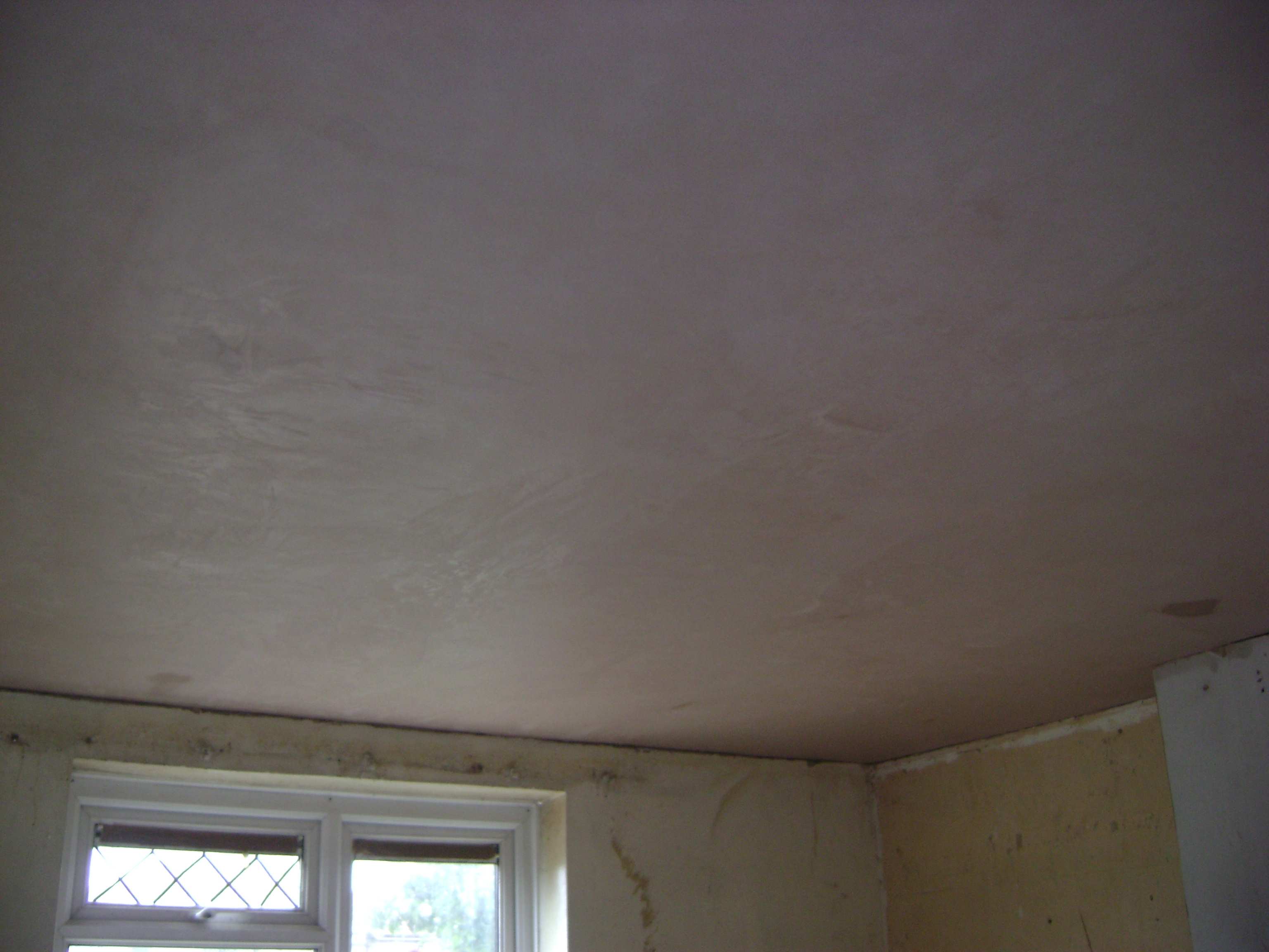 And so the whole ceiling was removed back to the laths prior to reboarding and plastering